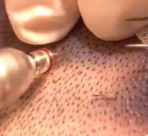 Captura de Tela 2025-10-27 às 08.57.51